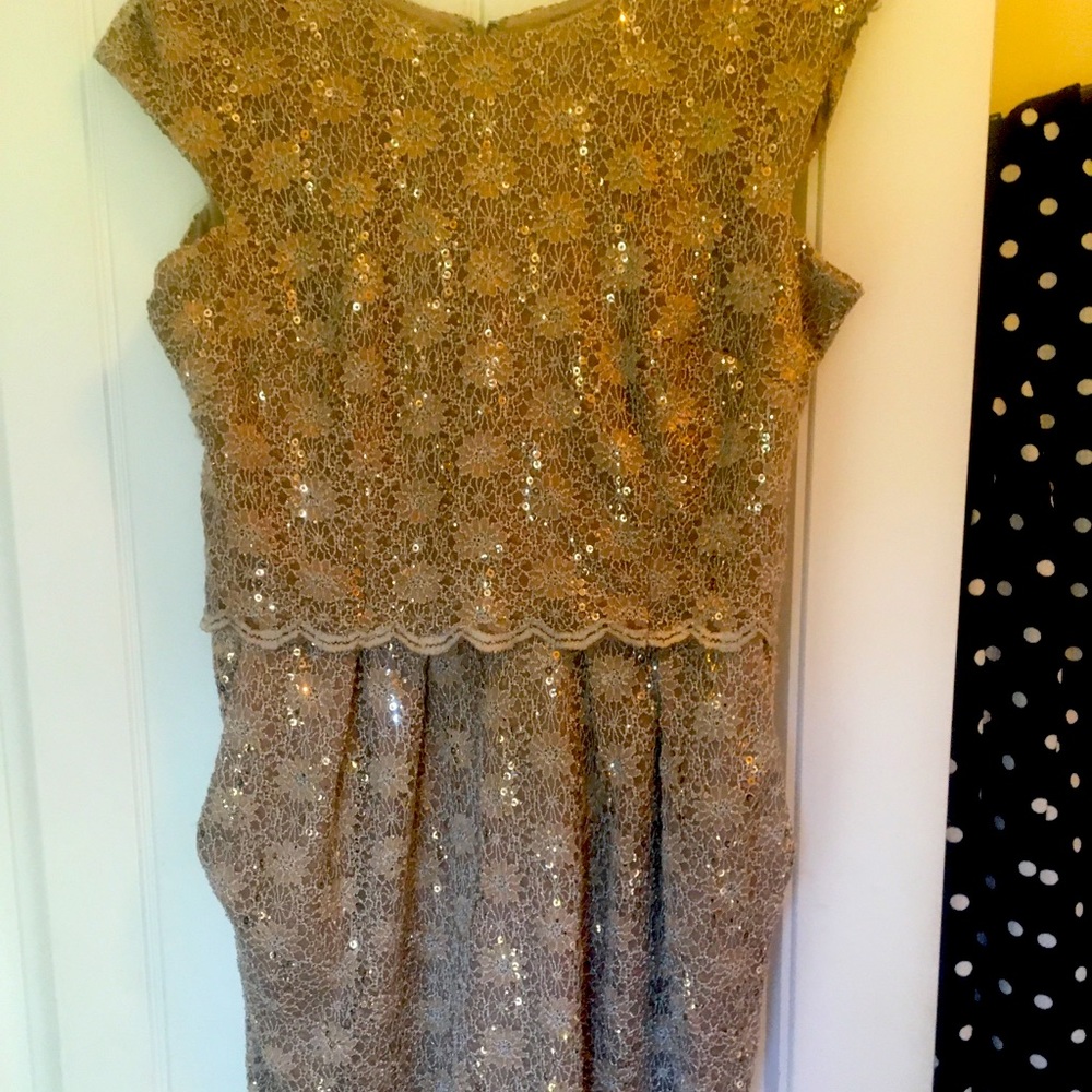Lace and Sequin Dress is Nwot size 16